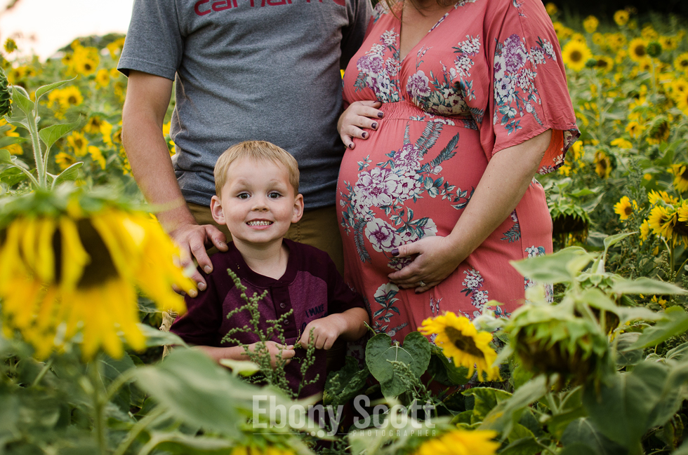 Woodstock New Brunswick Maternity Session with Sunflowers